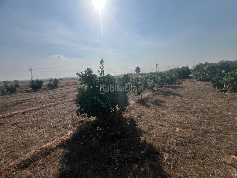 Foto aeba7753-3f41-4f16-99b9-2466f6c9cdd3. Finca rústica parcela cultivada con arboles frutales naranjos en Paterna