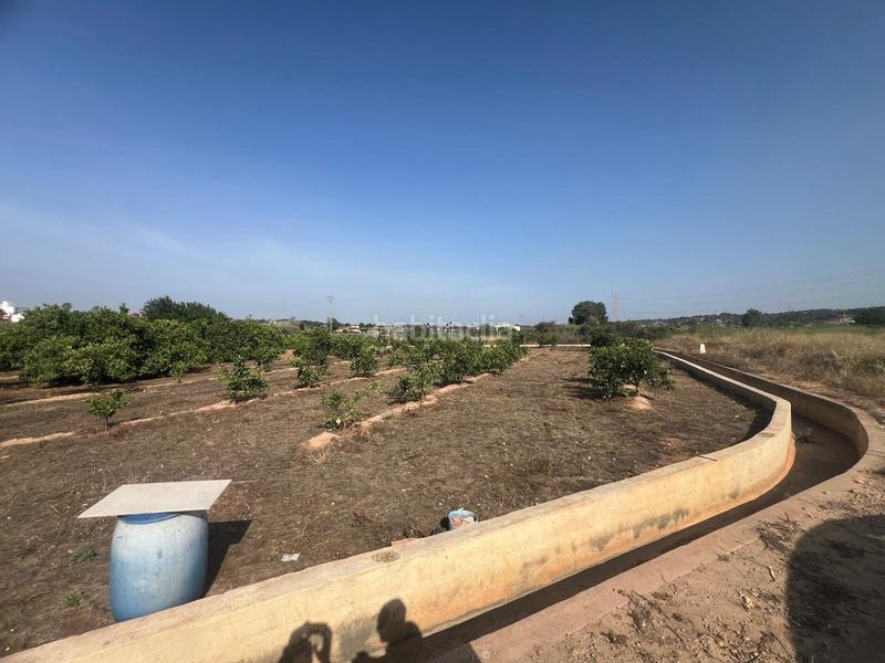 Foto e66e04fd-bc00-463c-b881-0d46839a68c8. Finca rústica parcela cultivada con arboles frutales naranjos en Paterna