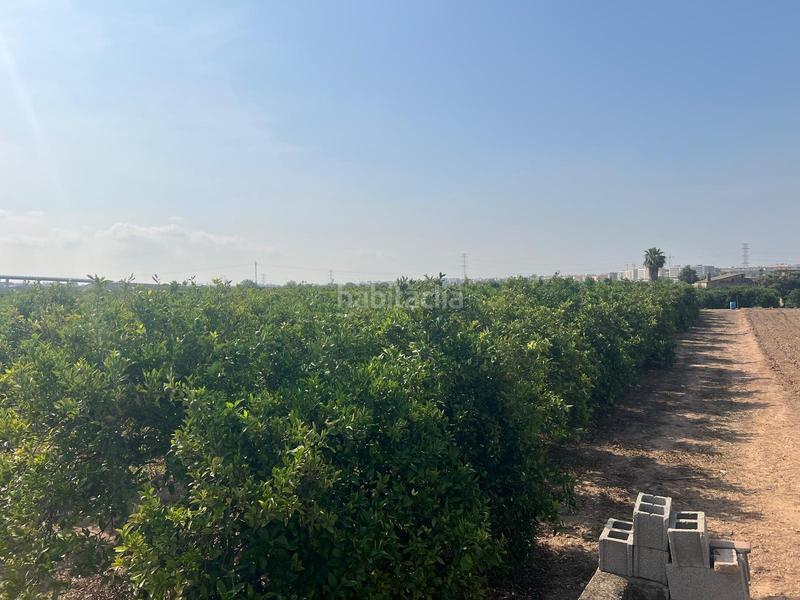 Foto fd7848ab-f959-4947-9701-bcfcba480686. Finca rústica parcela cultivada con arboles frutales naranjos en Paterna