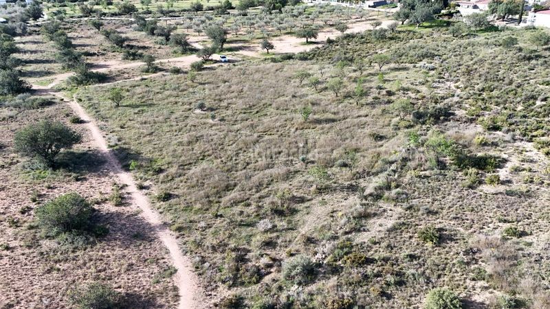 Foto 4e6b8bf0-1847-4232-9359-fe96133e4411. Finca rústica a Urbanizaciones Llíria