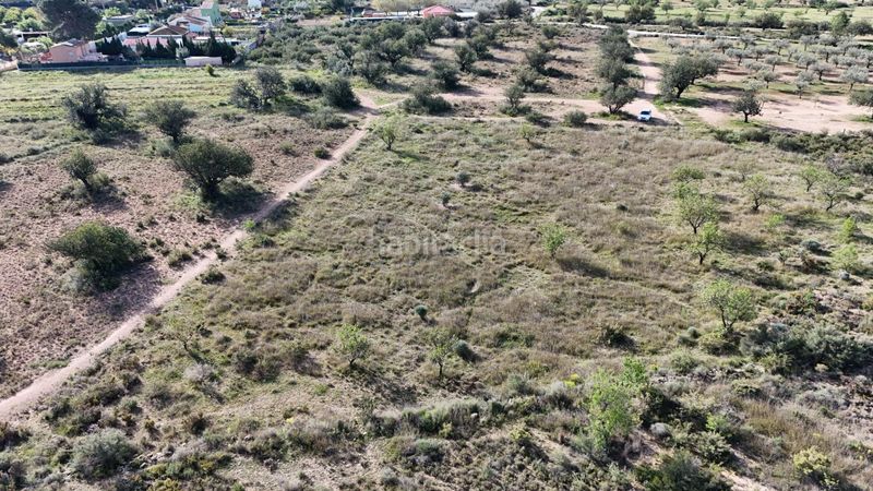 Foto 8459b94e-570b-48de-baf7-1542e9ac1655. Finca rústica a Urbanizaciones Llíria