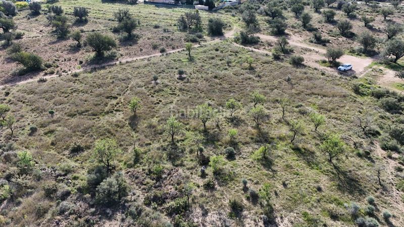 Foto e9421449-3395-4a73-be30-13ebbb1e3c0d. Finca rústica a Urbanizaciones Llíria