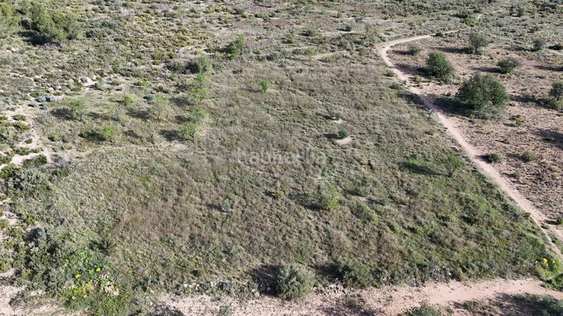 Foto f6d75d17-2ae6-4ac9-8055-077caeb32387. Finca rústica a Urbanizaciones Llíria