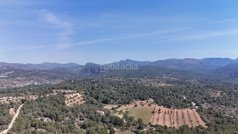 Foto 42106393-3f70-417d-bbe2-523b1d7f9076. Terreny residencial a Olocau