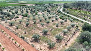 Finca rústica a Urbanizaciones