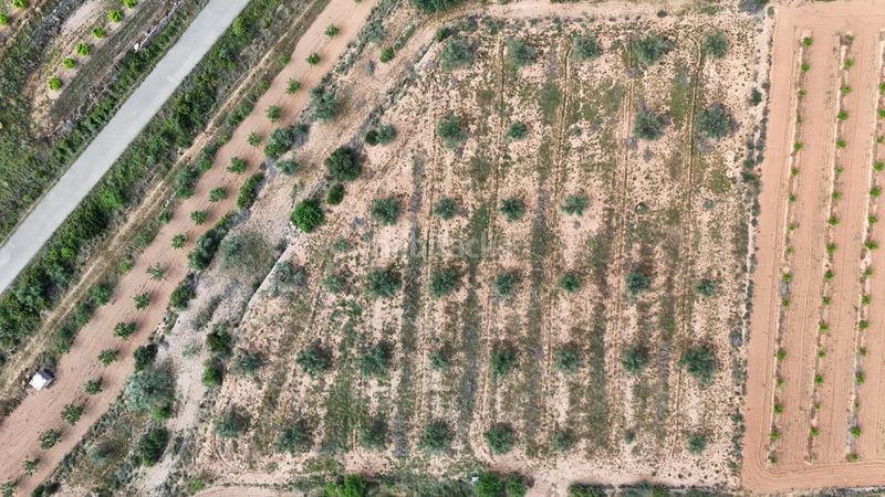 Foto fcc59da2-0edc-4fb6-85c2-e10e521f67d0. Finca rústica a Urbanizaciones Llíria