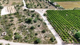 Finca rústica en Domeño. Terreno rustico, con posibilidad de agua