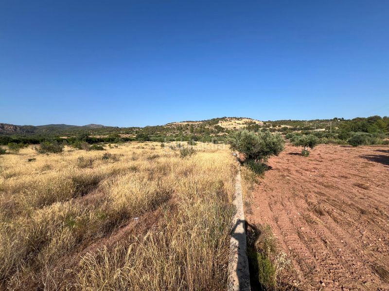 Foto fa759119-dcde-463c-9e8d-a70801f05745. Finca rústica a Olocau