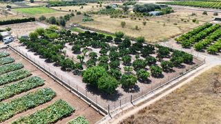 Finca rústica a Urbanizaciones. Parcela rustica vallada con frutales y huerto