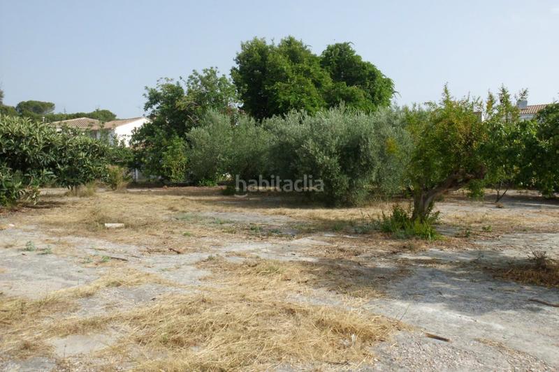 Foto 1152d339-6d57-49ec-93fd-85e82be85631. Terrain résidentiel dans Olleria (l´)