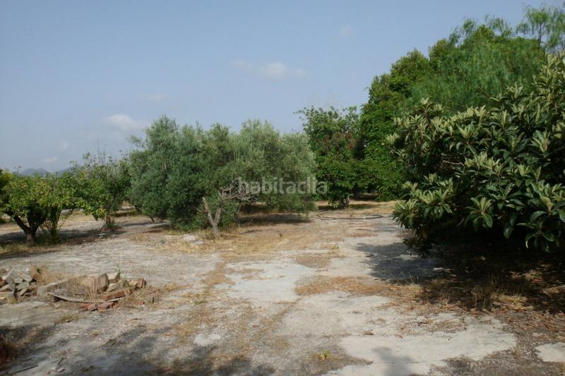 Foto 2142f179-b5e7-4550-bb81-6e1084bbc9c6. Terrain résidentiel dans Olleria (l´)