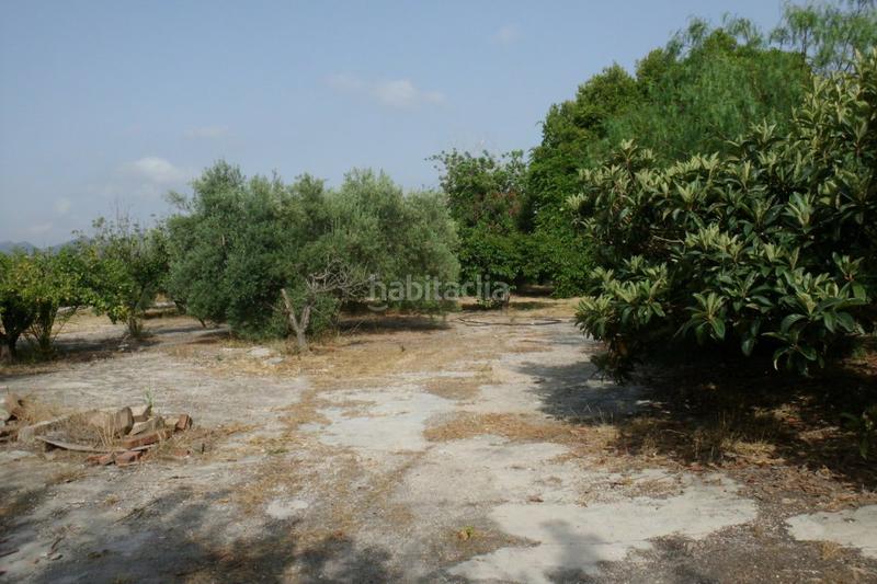 Foto ae58afbf-1a57-45ca-9c52-cb9c4077d0d3. Terrain résidentiel dans Olleria (l´)