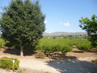 Masia a Santa Ana. Finca cercana al casco urbano  ontinyent