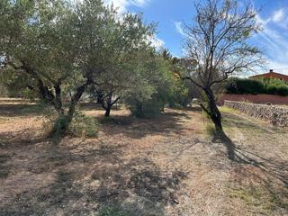 Terreny residencial a Santa Ana. Parcela en suelo urbanizable  ontinyent