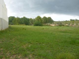 Terreny residencial a Olleria (l´). Solar urbano en lolleria