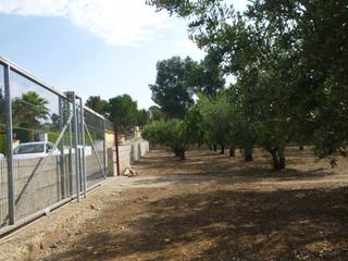 Finca rústica a El Pilar. Terreno en zona santa anaontinyent