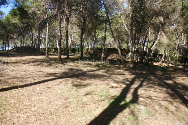 Foto c02807ff-7840-4900-b5cc-9080cc20e331. Landgut in El Pilar Ontinyent