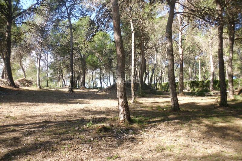 Foto d6b3cd0e-433e-4d10-827a-b2f27f97b3ff. Landgut in El Pilar Ontinyent