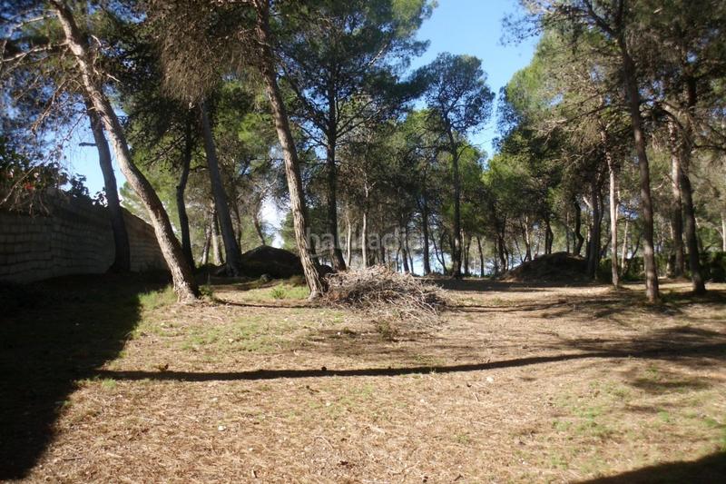 Foto de60a985-6bec-4e32-8134-9abab20bdf2e. Landgut in El Pilar Ontinyent