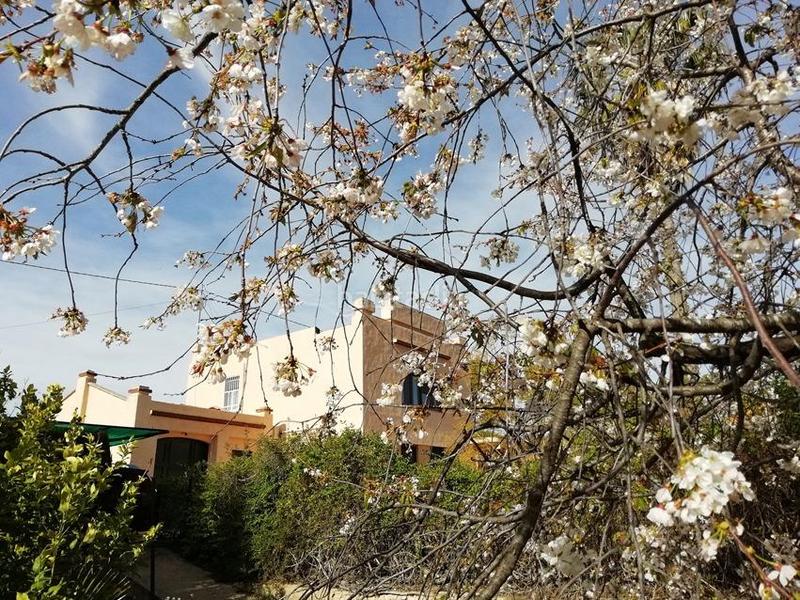 Foto b37acaeb-9a54-4983-8f09-03ad0dac10dc. Chalet avec chauffage parking piscine dans Santa Ana Ontinyent