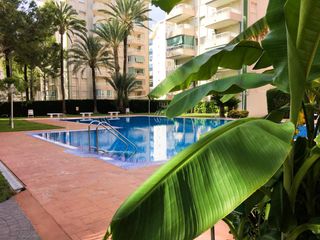 Lloguer Apartament en Calle clot de la mota del 29. Alquiler gandia verano 2026