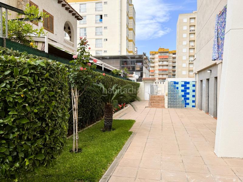 Foto 595851ec-e65b-401e-8c69-5a3ece9684f9. Rent penthouse in calle barraques 71 in Playa de Gandía Gandia