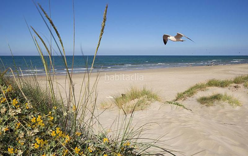 Foto 3f63bd9b-9d02-4a00-9a66-8ccde570ae1d. Attique avec piscine dans Oliva playa Oliva