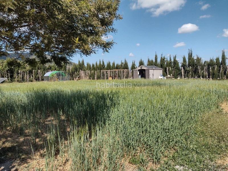 Foto b094129d-17ae-4b93-a3ba-83113220ca48. Finca rústica a Simat de la Valldigna