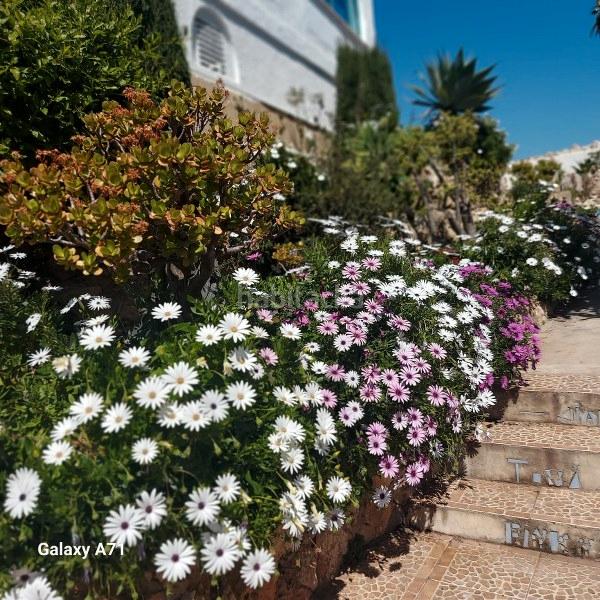 Foto 8e885540-6499-4ee6-bdaa-8bee1678c2b1. Chalet in Sant Antoni Cullera