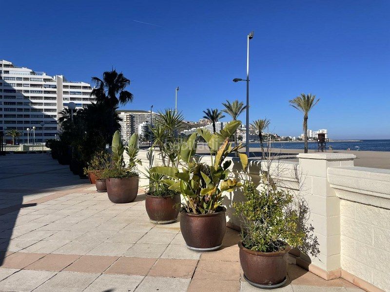 Foto bbc73f95-179e-4470-b520-541e49a491e5. Apartament amb aparcament piscina a Racó Cullera