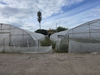 Finca rústica en Pueblo de Cullera. Terreno rústico situado en el mareny de san llorenç oportunidad!