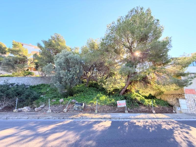 Foto e4ce5161-4944-48d5-86b6-035f8713db1c. Terreno residenziale in Bonavista-Lago San Lorenzo Cullera