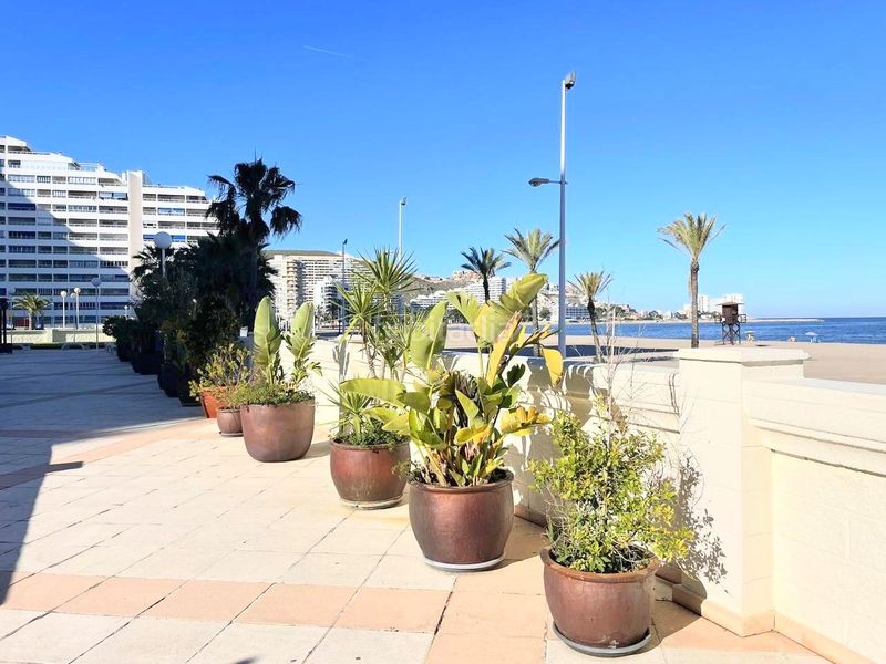 Foto 5446f2ae-46b8-440c-ab8e-2d7965f5e4c4. Apartament a castello 24 a Racó Cullera