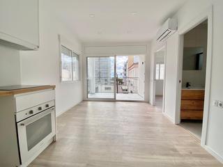 Pis a Carrer de David de Mas