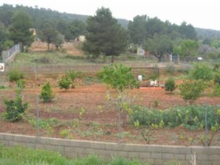 Terreny residencial en Turs. Terreno en venta