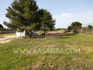 Terreny residencial  Las muelas,. Parcela en venta en chiva