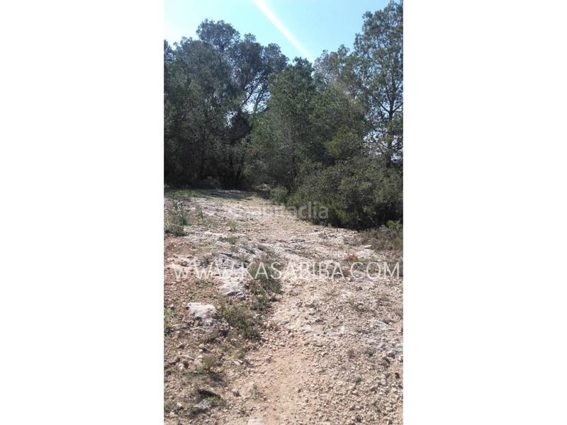 Foto 5794fd04-ada9-4cfc-8f56-172142222f9b. Masía chalet rustico en venta en ribaroja de turia en Riba - roja de Túria