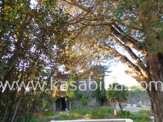 Terreny residencial  Málaga. Parcela en venta en ribaroja del turia