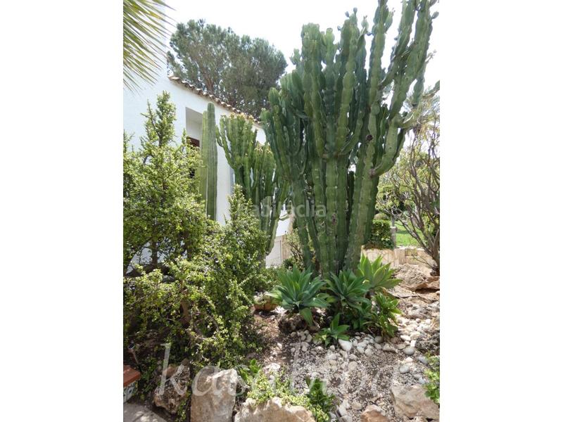 Foto 0181b753-159a-4d8b-9cc6-4dfbf4620a00. Xalet amb calefacció aparcament piscina a Pla dels Aljubs Pobla de Vallbona (la)