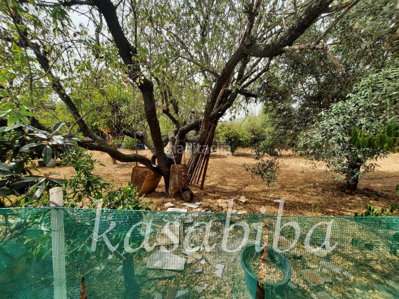 Foto a5419c53-12dc-4ea8-bfb2-43b779456a92. Masía casa de campo en venta en Vilamarxant