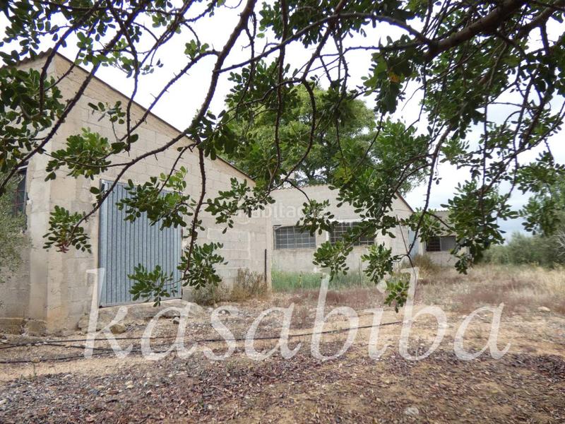 Foto 04e32d8f-9aa7-4f97-9a92-2f8ccb51ec1d. Finca rústica finca rustica en venta en Pedralba