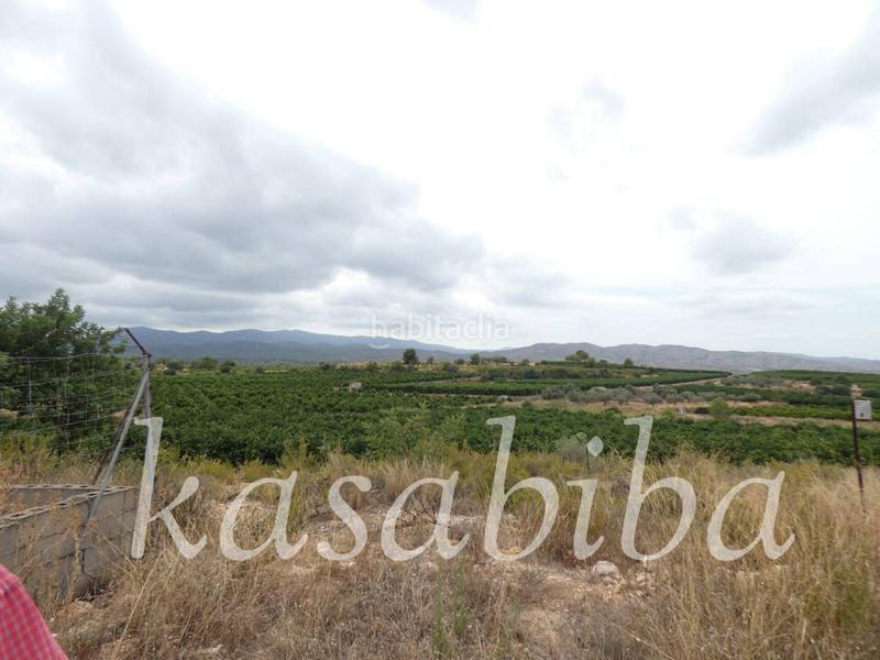 Foto 08b5e1dc-e169-4861-b7d6-8b5556f48ec3. Finca rústica finca rustica en venta en Pedralba