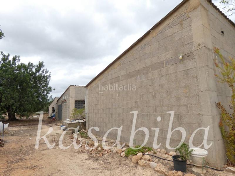 Foto 0dafa3e0-684f-4ffa-950f-9451f488aa36. Finca rústica finca rustica en venta en Pedralba