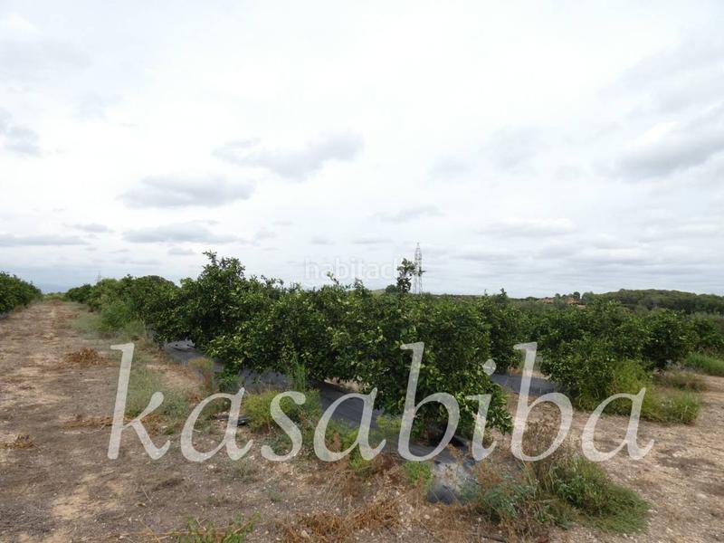 Foto 168b6cdc-ed9d-4770-90f3-b1c238e37ec5. Finca rústica finca rustica en venta en Pedralba