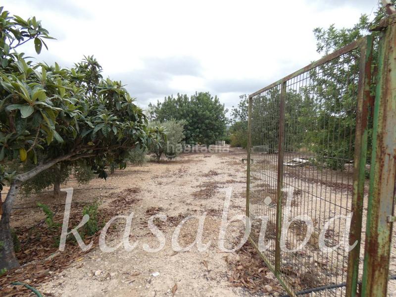 Foto 17d14c2b-1e07-496e-8a00-1546f8abe0b9. Finca rústica finca rustica en venta en Pedralba