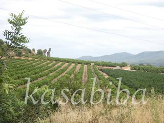 Landgut  9 y parcela. Finca rustica en venta en pedralba