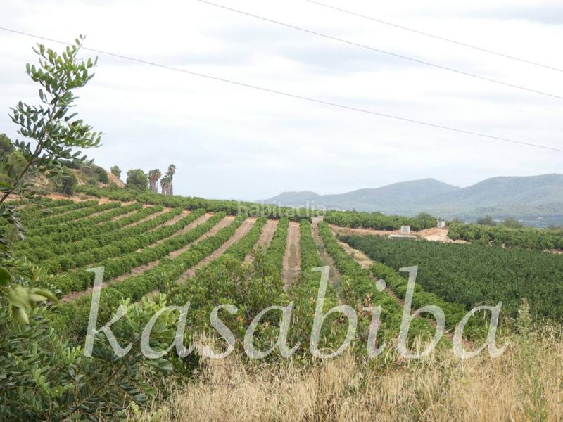 Foto 18727c71-092f-4129-9bb1-66ff89cfab8d. Finca rústica finca rustica en venta en Pedralba