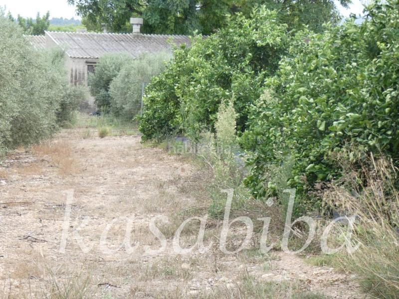 Foto 20a6e3ad-c8ac-4d2f-9d0e-a3b510f22954. Finca rústica finca rustica en venta en Pedralba