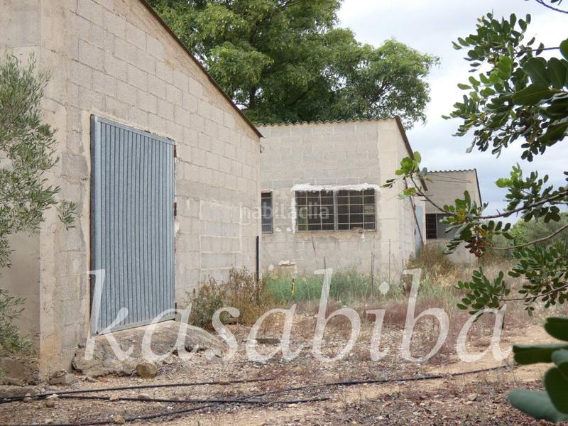 Foto 2d294575-c6b1-40fe-a6f1-0506880b959d. Finca rústica finca rustica en venta en Pedralba