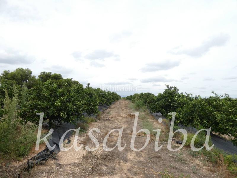 Foto 2ecf0c3c-2ff5-44a8-aa2a-9b714e6ac92e. Finca rústica finca rustica en venta en Pedralba